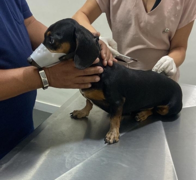Sorte Solidária pela Drika: Ajudar Faz Bem!